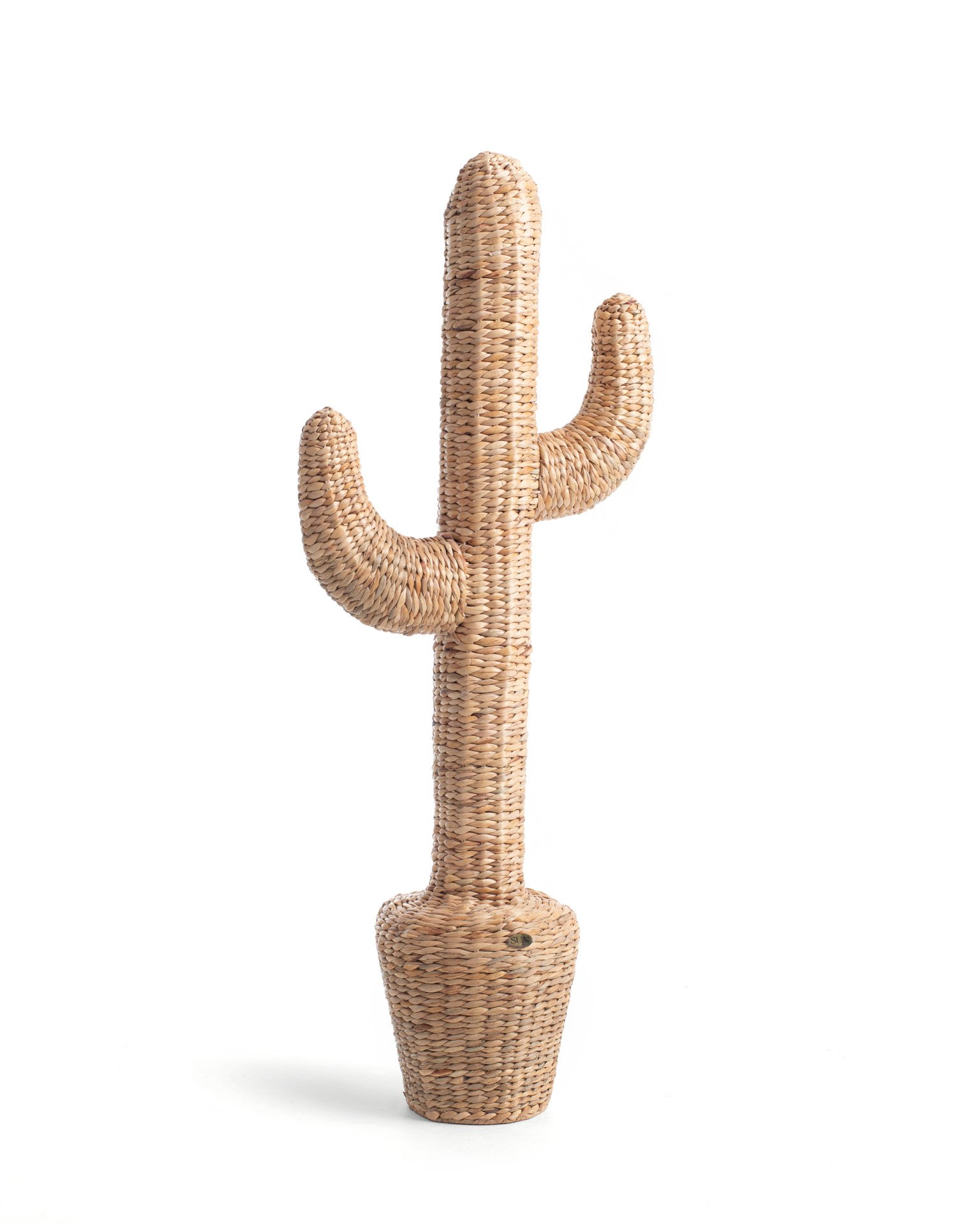 CACTUS DECOR  2